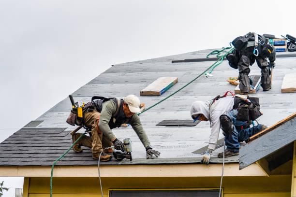 Professional Storm Damage Roof Repair technician working in Rockton, IL